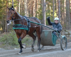 Stefan ser rätt nöjd ut bakom Maharajah i februari 2008. Foto; A.Lindblom/Travkompaniet
 